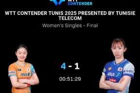 2025女排欧冠决赛结果