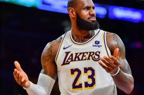 法国队带队取胜！，詹姆斯重要时刻出色发挥气势如虹延续的简单介绍-九游娱乐APP